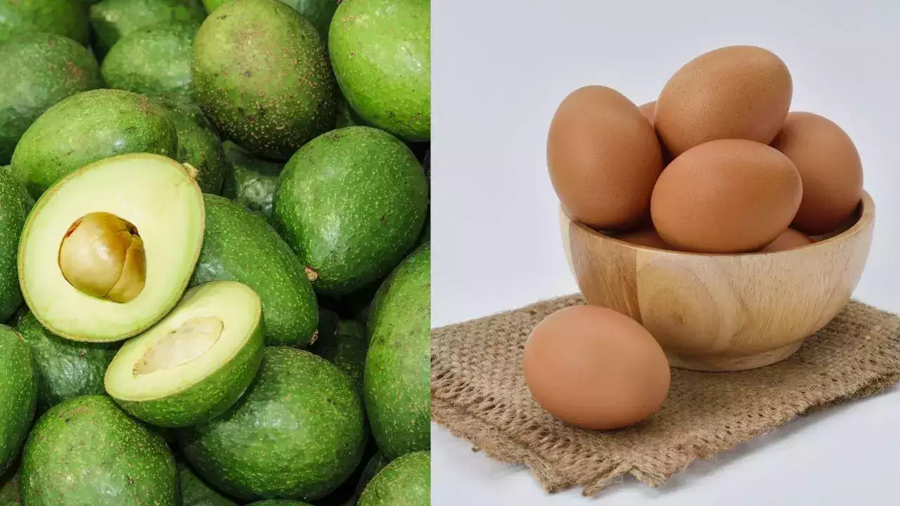 Avocado vs. Eggs: which one should you yhoose for better nutrition?